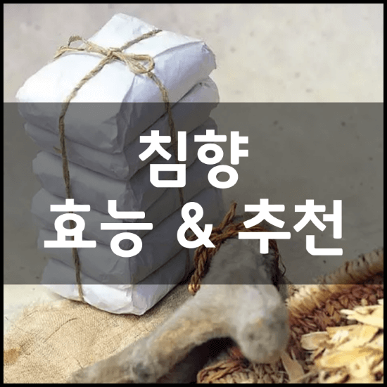 침향환-침향단-효능-성분-5가지-부작용-복용법-가격-비교-추천-총정리