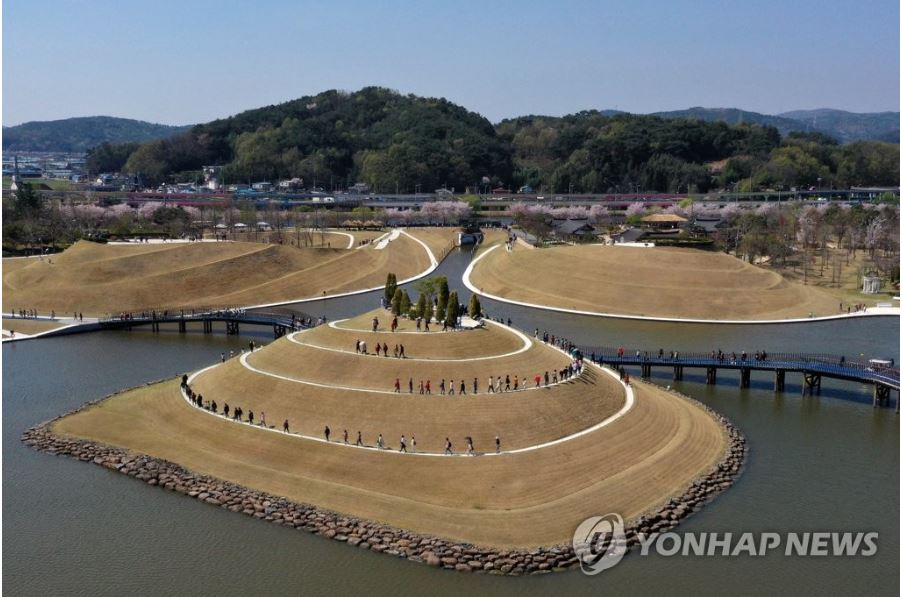 유채꽃 개화시기.유채꽃 명소.2023년안내