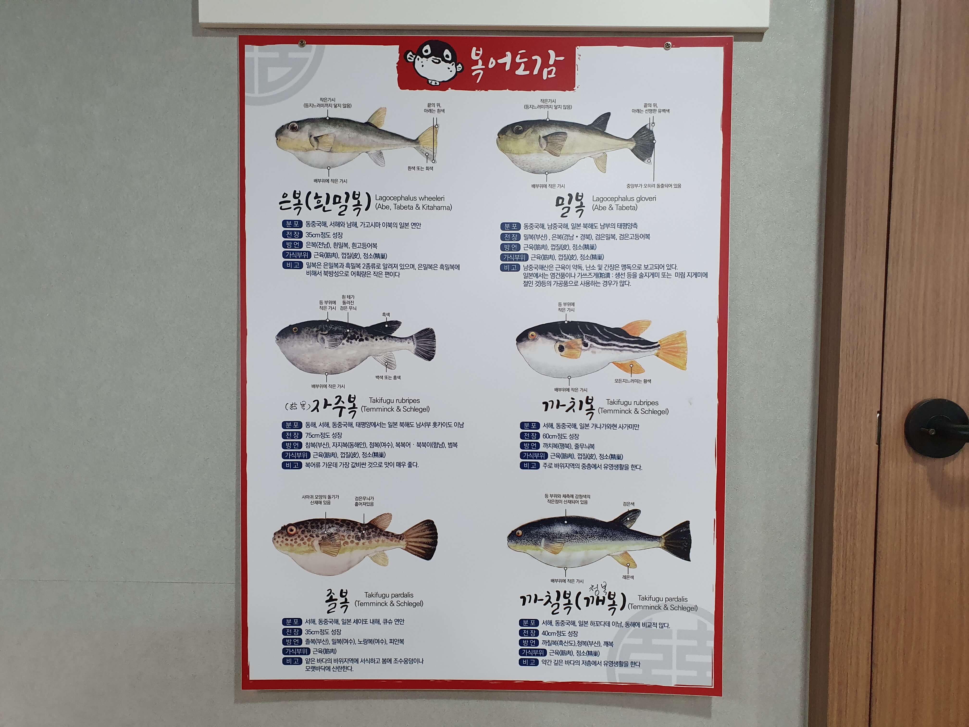 복어도감