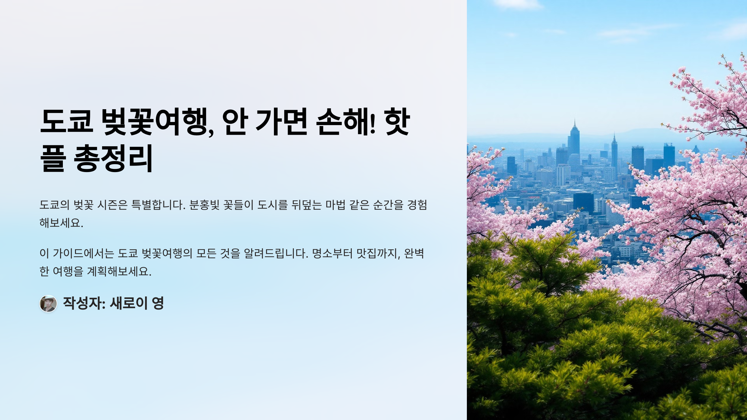 🌸 도쿄 벚꽃여행, 안 가면 손해! 핫플 총정리
