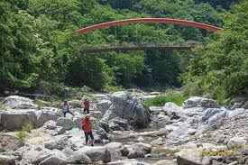 여름에 걷기 좋은 숲길 10