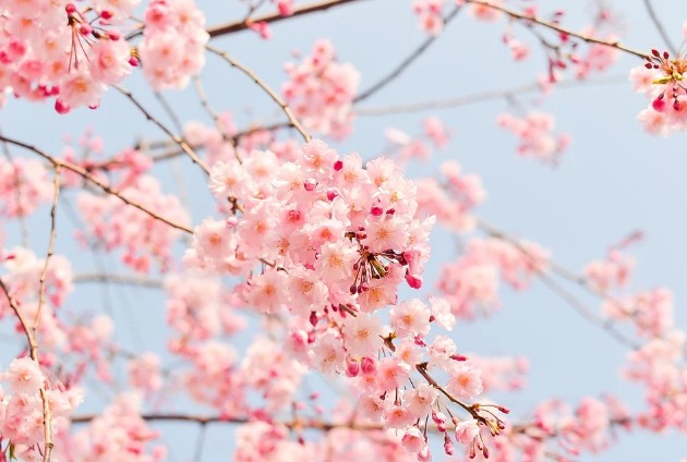 2023년 에너지바우처 지원금액 단가 인상