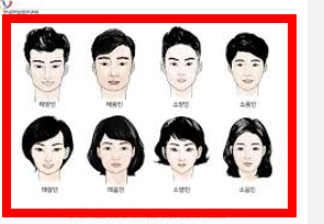 8체질 자가진단 테스트 무료 홈페이지