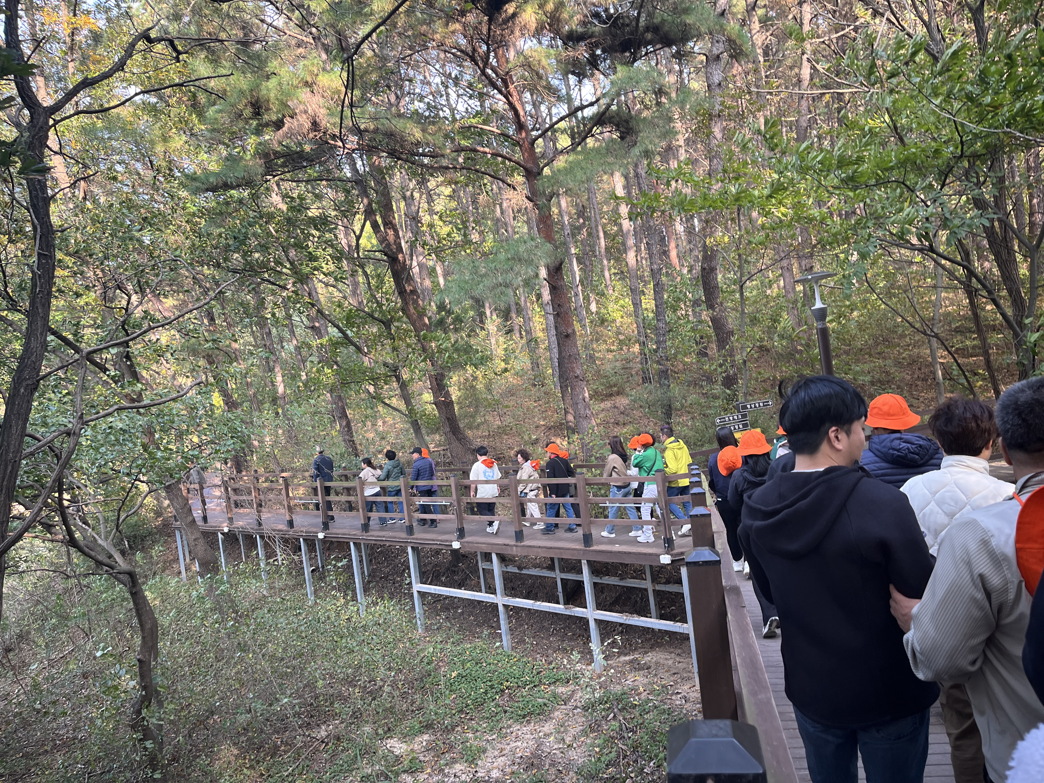 대청호 명상정원 산책로 걷는 모습