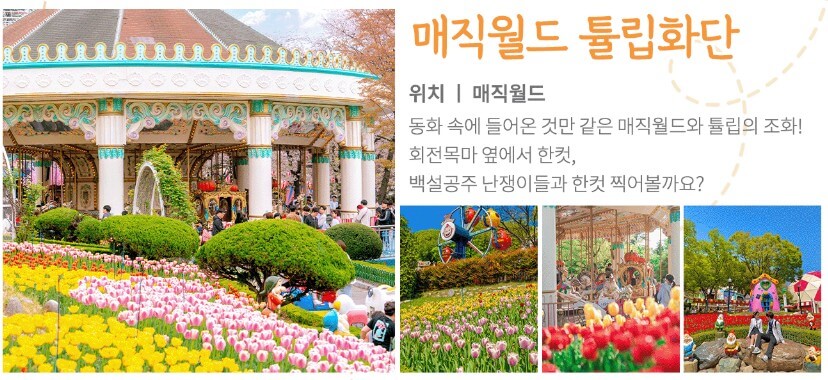 2025 대구 이월드 &amp;#39;튤립 트래블&amp;#39; 축제! : 네덜란드 감성 그대로 즐기는 봄 꽃 축제!