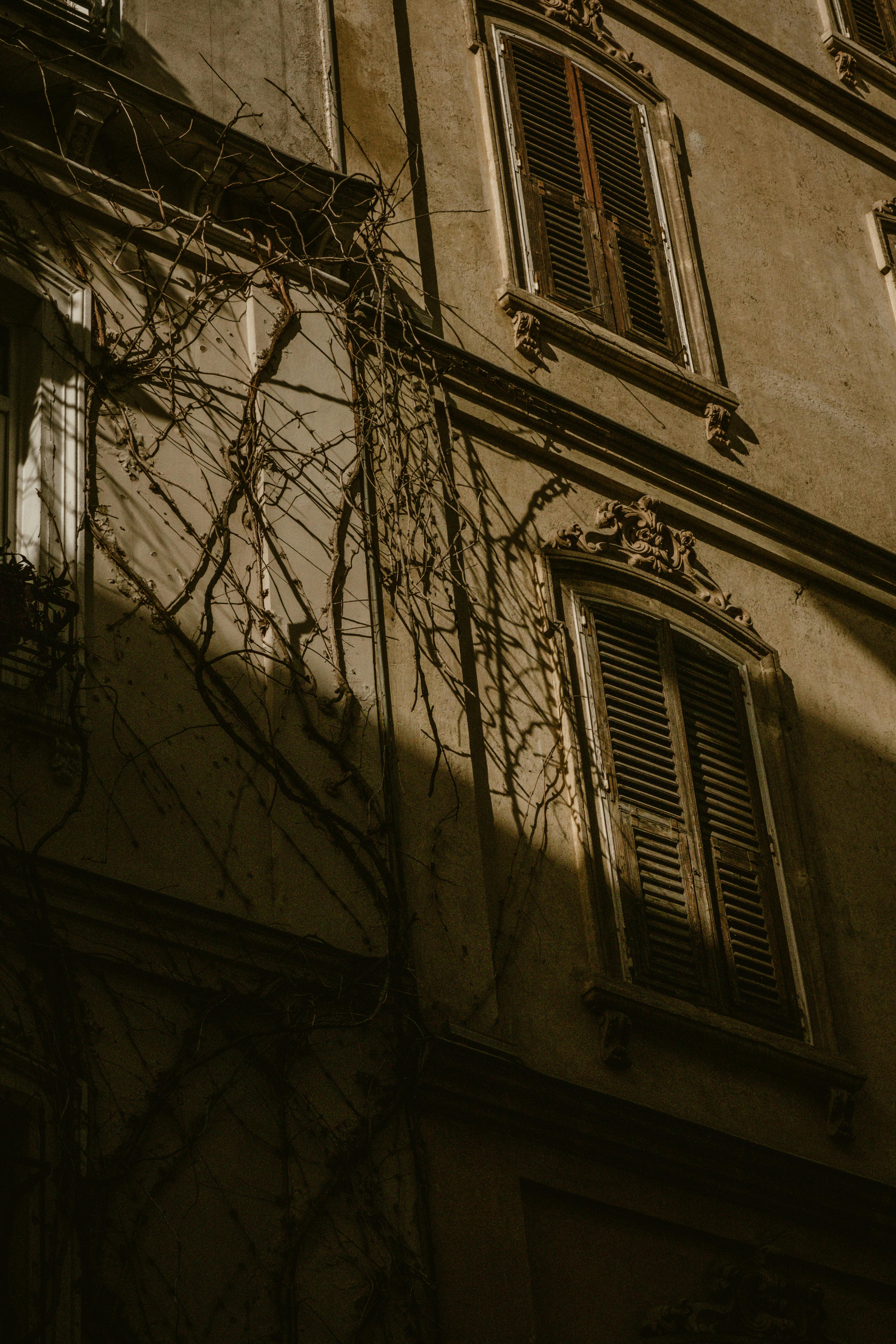 폐가를 구입하기 전에 꼭 알아야 할 7가지