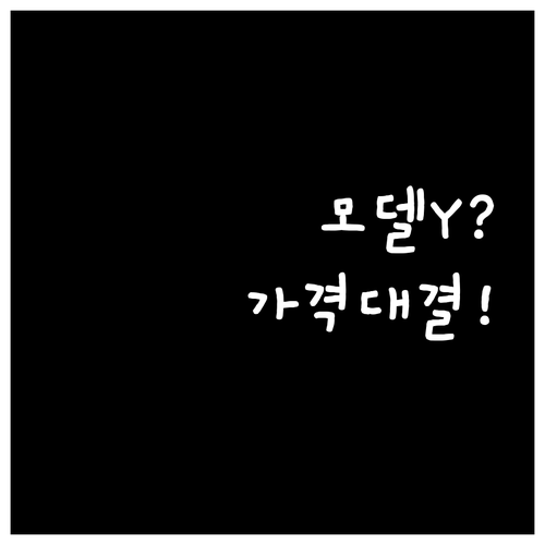 테슬라 모델Y RWD vs 롱레인지 ..