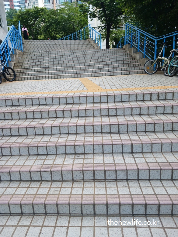 “Outdoor library entrance stairs with bicycles parked nearby”-“자전거가 놓인 도서관 입구의 외부 계단”