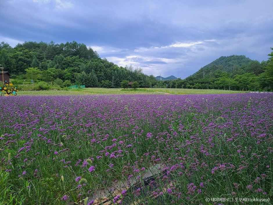 영양 가볼만한곳 베스트10