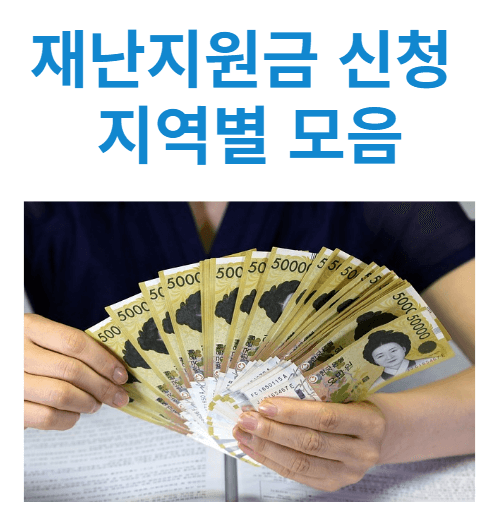 재난지원금 신청 지역별 지급