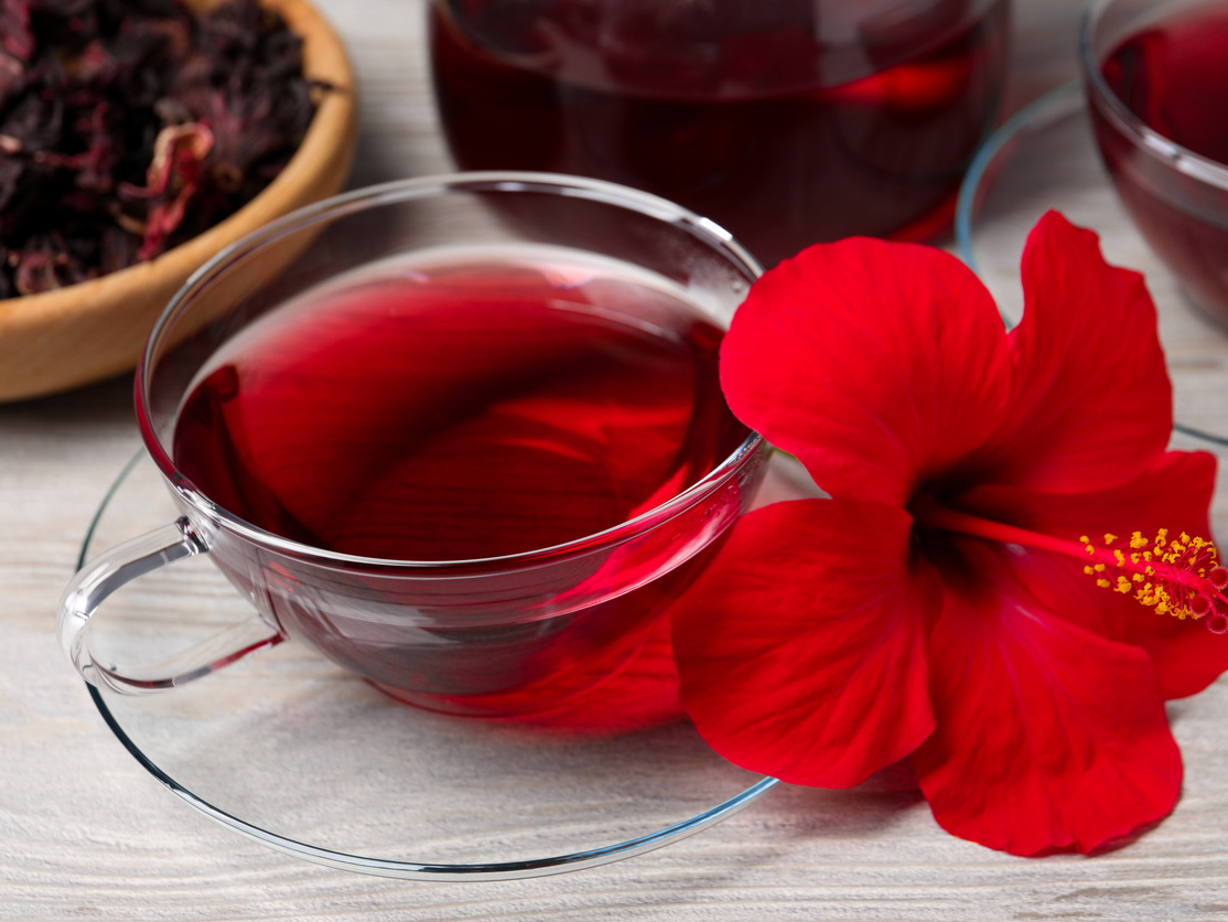 히비스커스의 효능, 부작용 히비스커스의 효능, 부작용