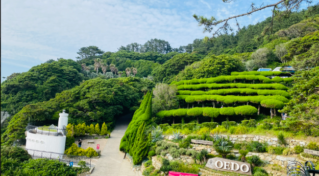외도 보타니아 가는법 : 보타니아 유람선 시간표&amp;#44; 배타는 곳&amp;#44; 보타니아 입장료&amp;#44; 예약 방법 총정리