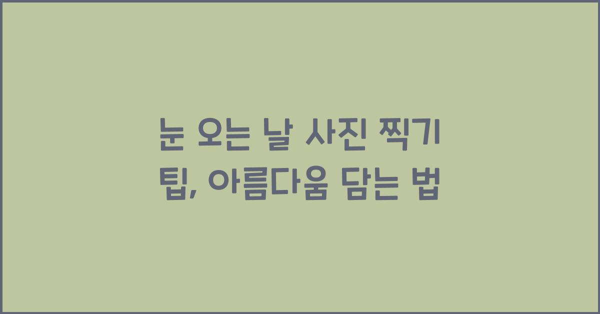 눈 오는 날 사진 찍기 팁