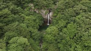 여름에 걷기 좋은 숲길 10