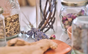 참당귀 효능 참당귀 뿌리 효능