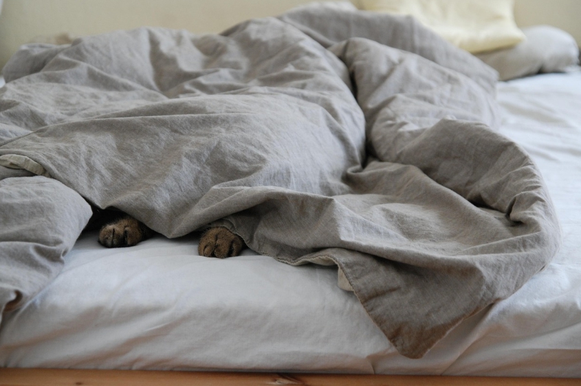 수면의 질을 높이는 생활 습관 5가지