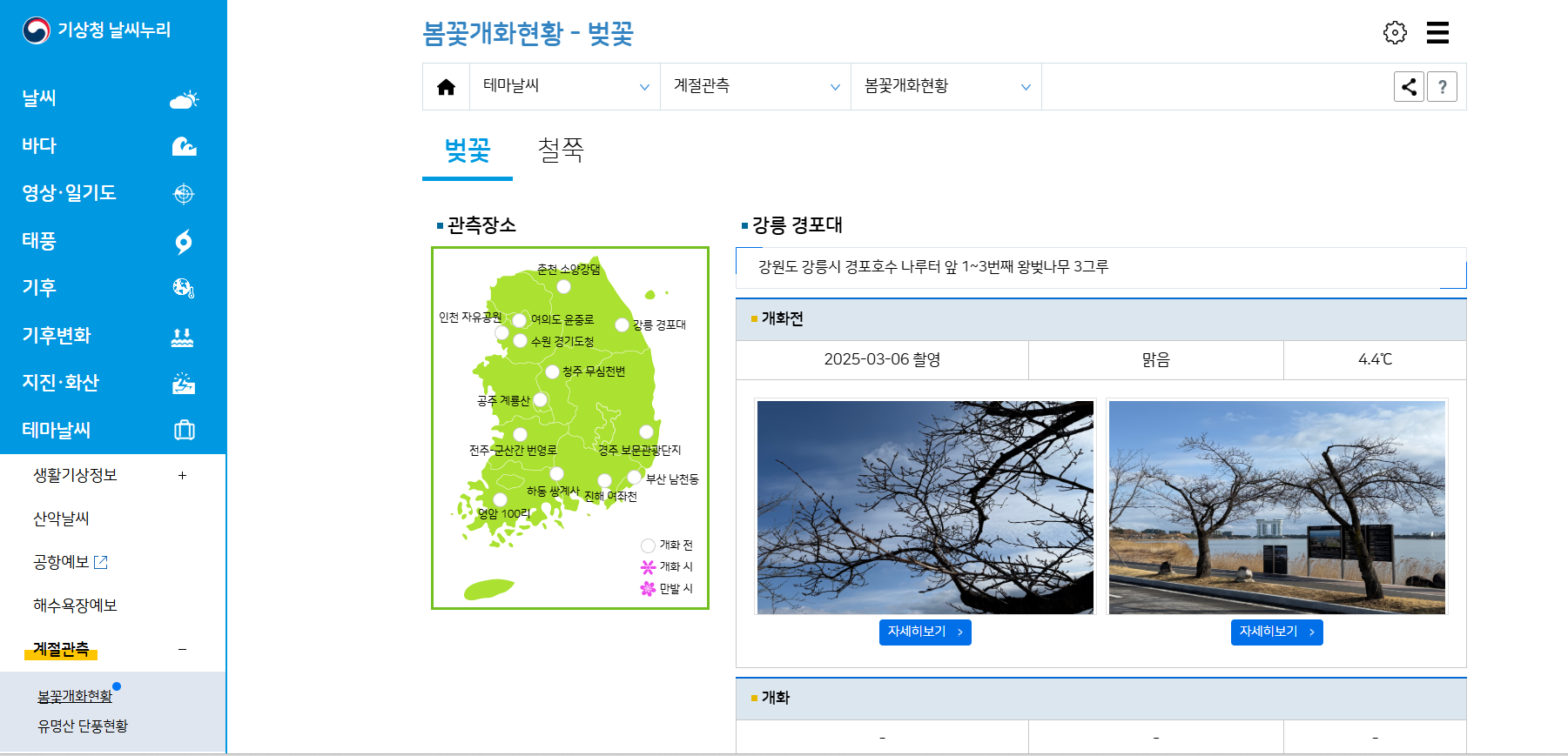 기상청은 실시간으로 벚꽃 개화상황을 촬영하여 지역별 벚꽃 상태를 업데이트합니다
