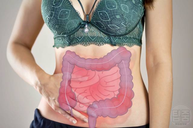 장염 걸리는 이유 장염 원인 장내 미생물 불균형