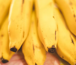 역류성식도염에 좋은 음식 영양제 식단