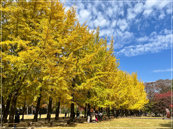 남이섬 이미지 / 출처: 나미나라공화국 남이섬