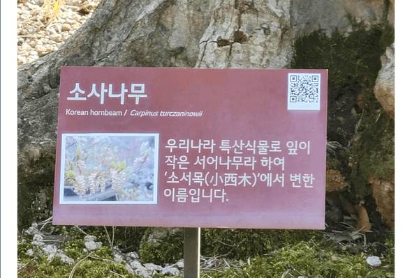 화담숲-예매-팁-1