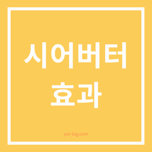 자연이 주는 천연 보습제, 시어버터 알아보기