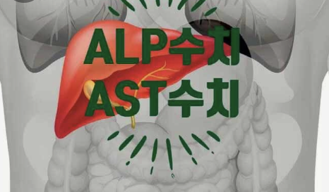 ast수치가 높으면
