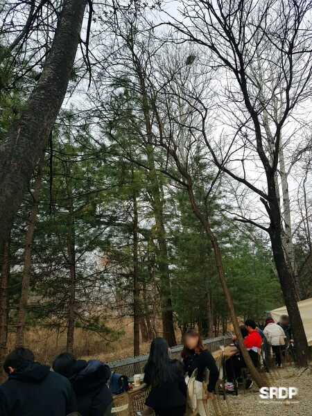 미사장-하남-미사-카페-숲속-카페-캠핑-불멍-카페-하남미사-가볼만한곳