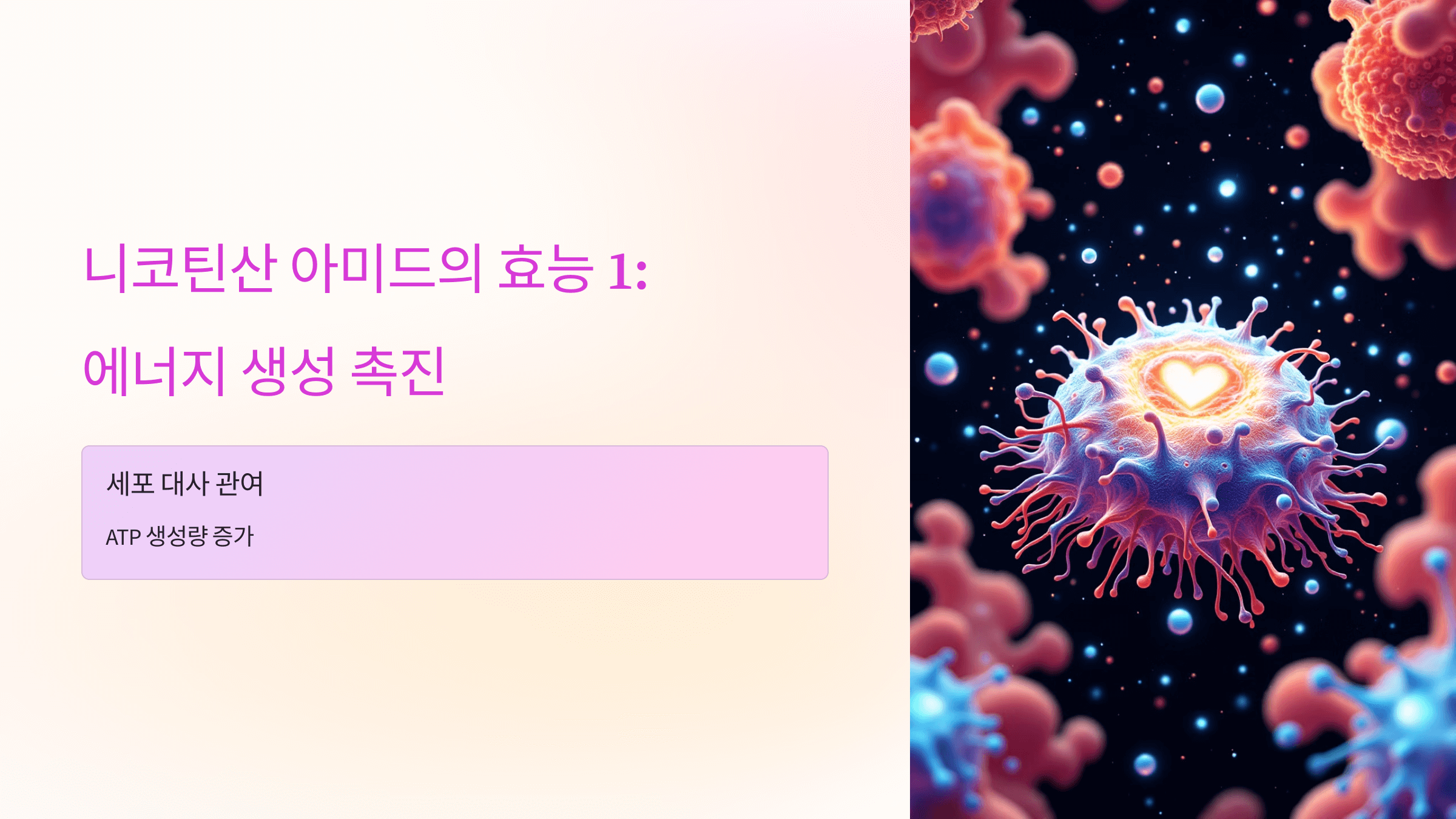 니코틴산 아미드와 관련된 사진입니다.
