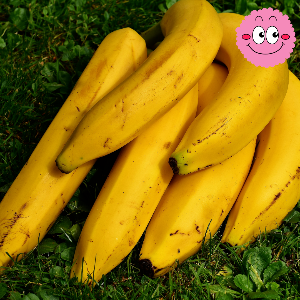 변비에 좋은 음식