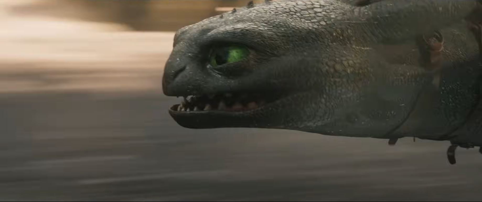 드래곤길들이기 영화 관련 사진2