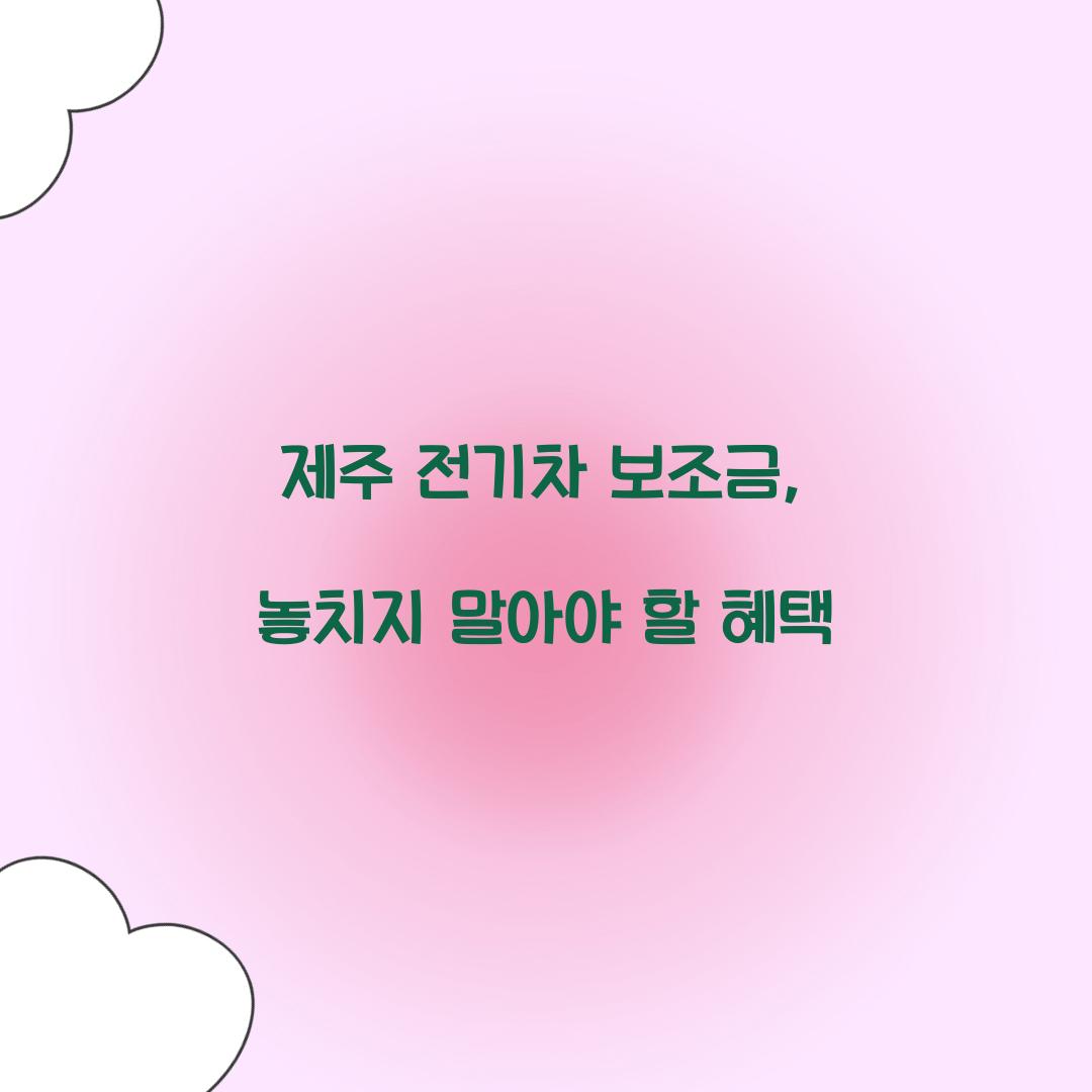 제주 전기차 보조금