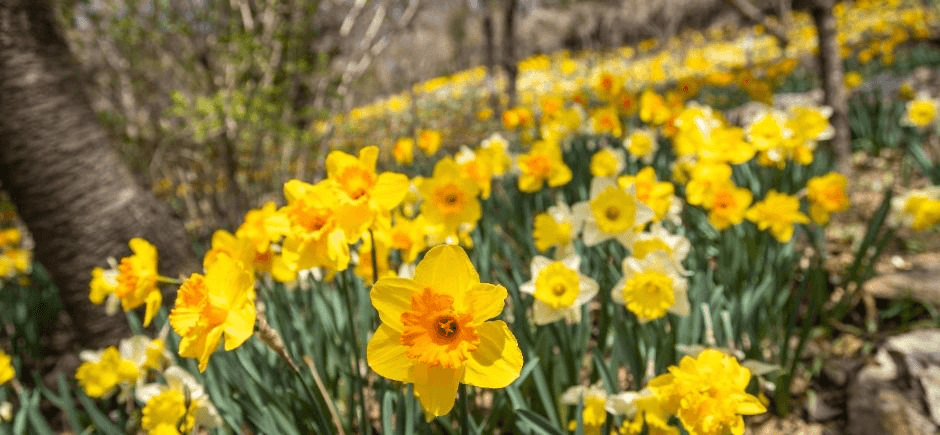 화담숲 예약 취소 방법&amp;#44; 수수료&amp;#44; 환불 가능기간&amp;#44; 모바일 취소&amp;#44; 예약변경