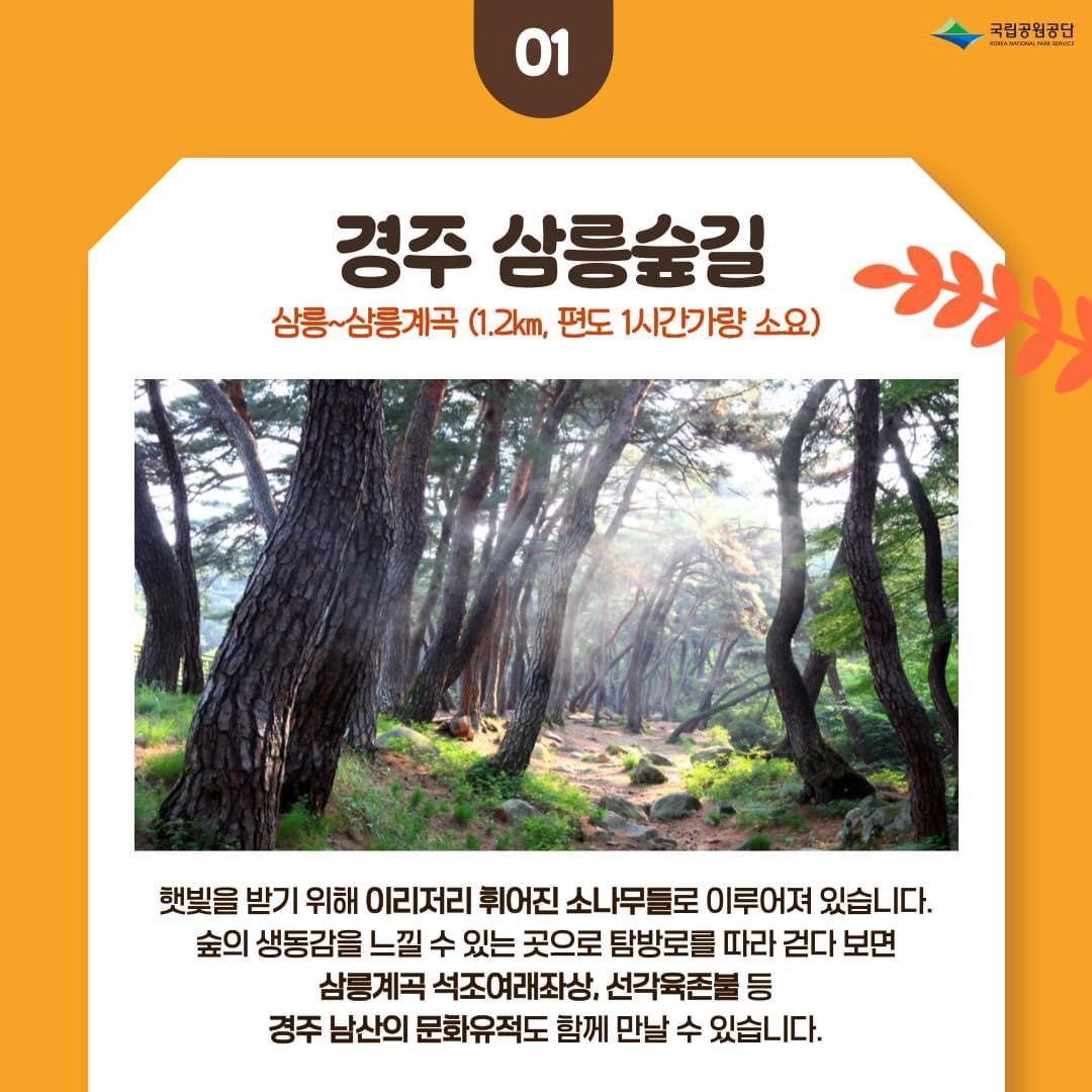 가을단풍