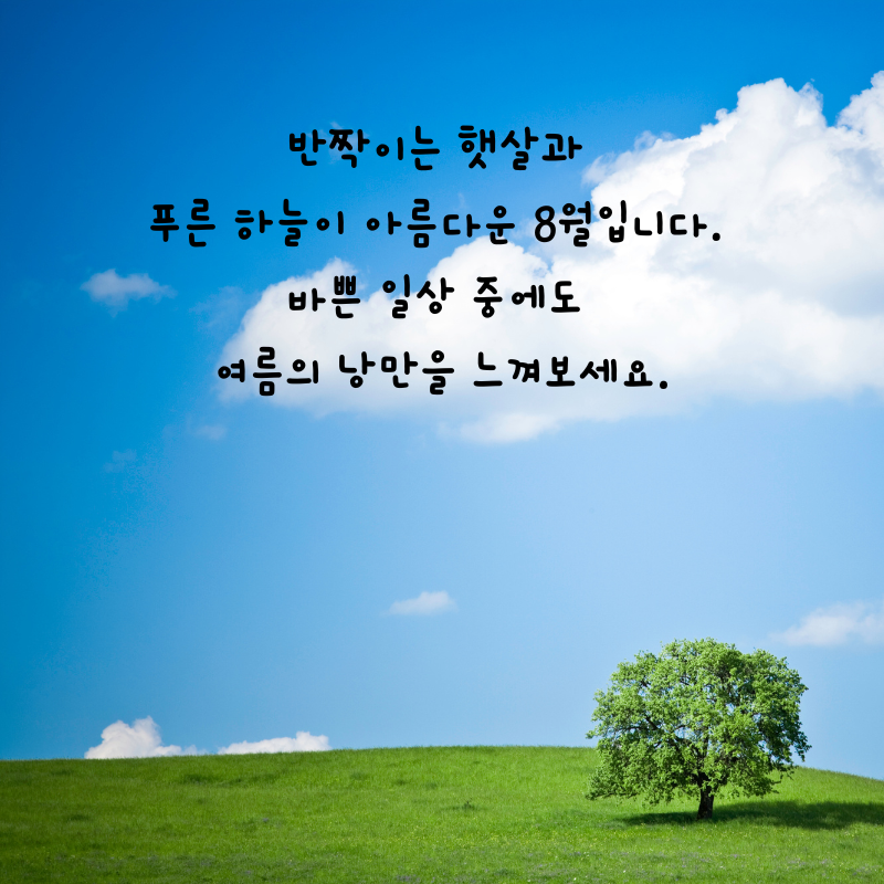 8월 인사말 카톡 문자 메세지 안부 이미지 모음집