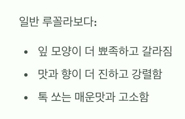 와일드루꼴라, 평범한 루꼴라와 다른 점