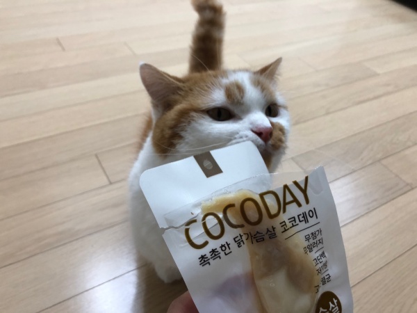 고양이닭가슴살