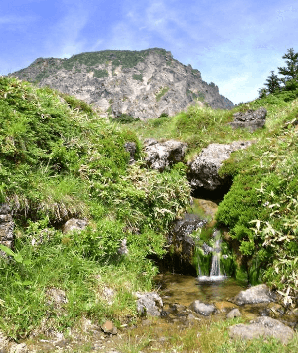 한라산 백록샘 최초 개방 예약방법