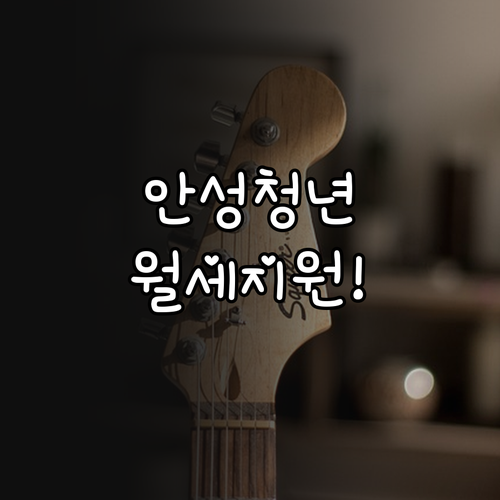 안성시 청년월세지원 무주택 청년 주거..