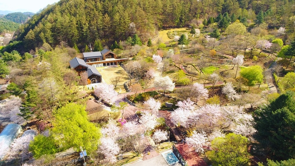 유명산자연휴양림