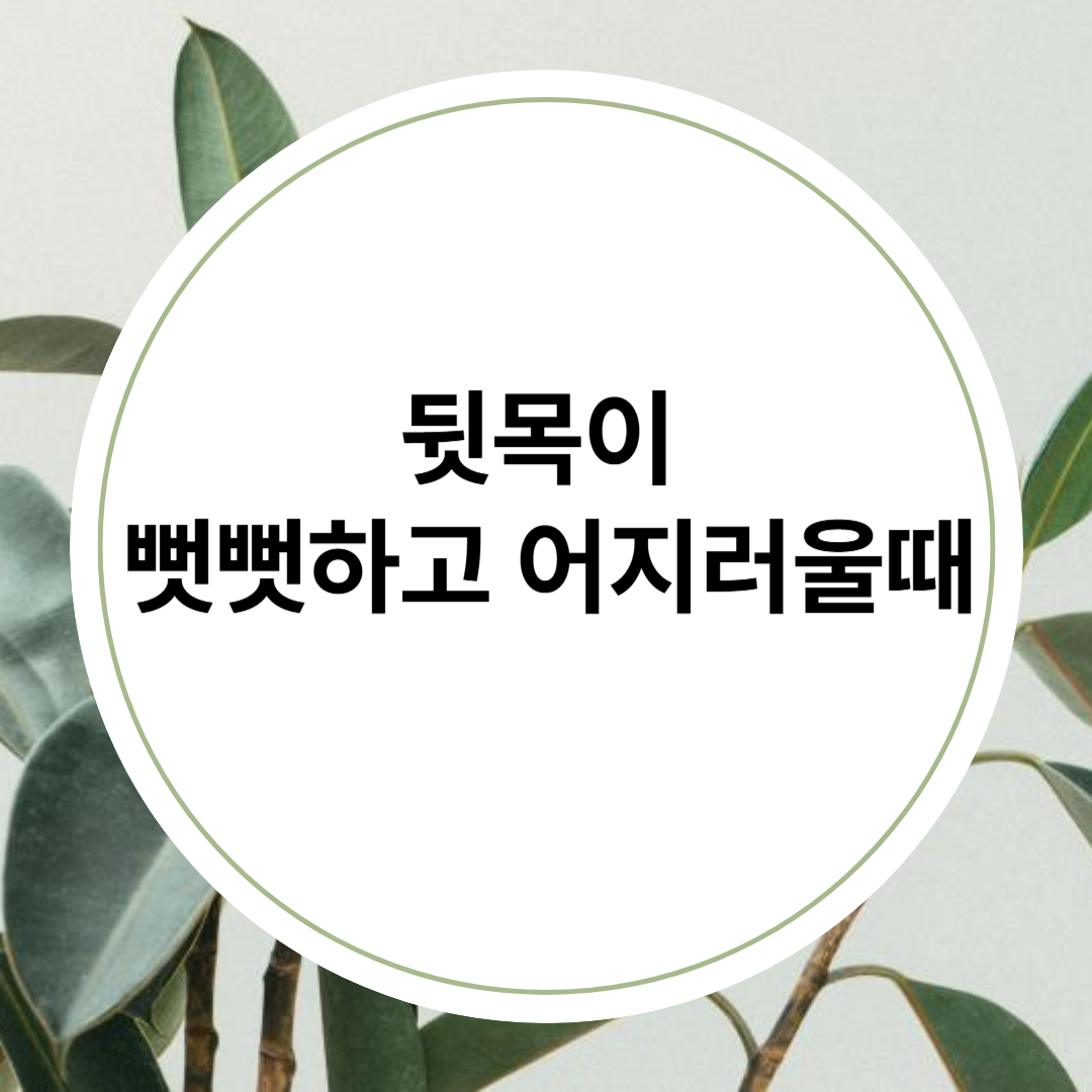 뒷목이 뻣뻣하고 어지러울때 원인과 치료법, 마사지법