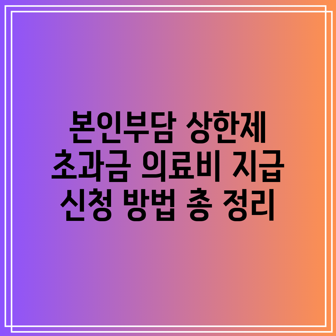 본인부담 상한제 초과금 의료비 지급 신청 방법 총 정리