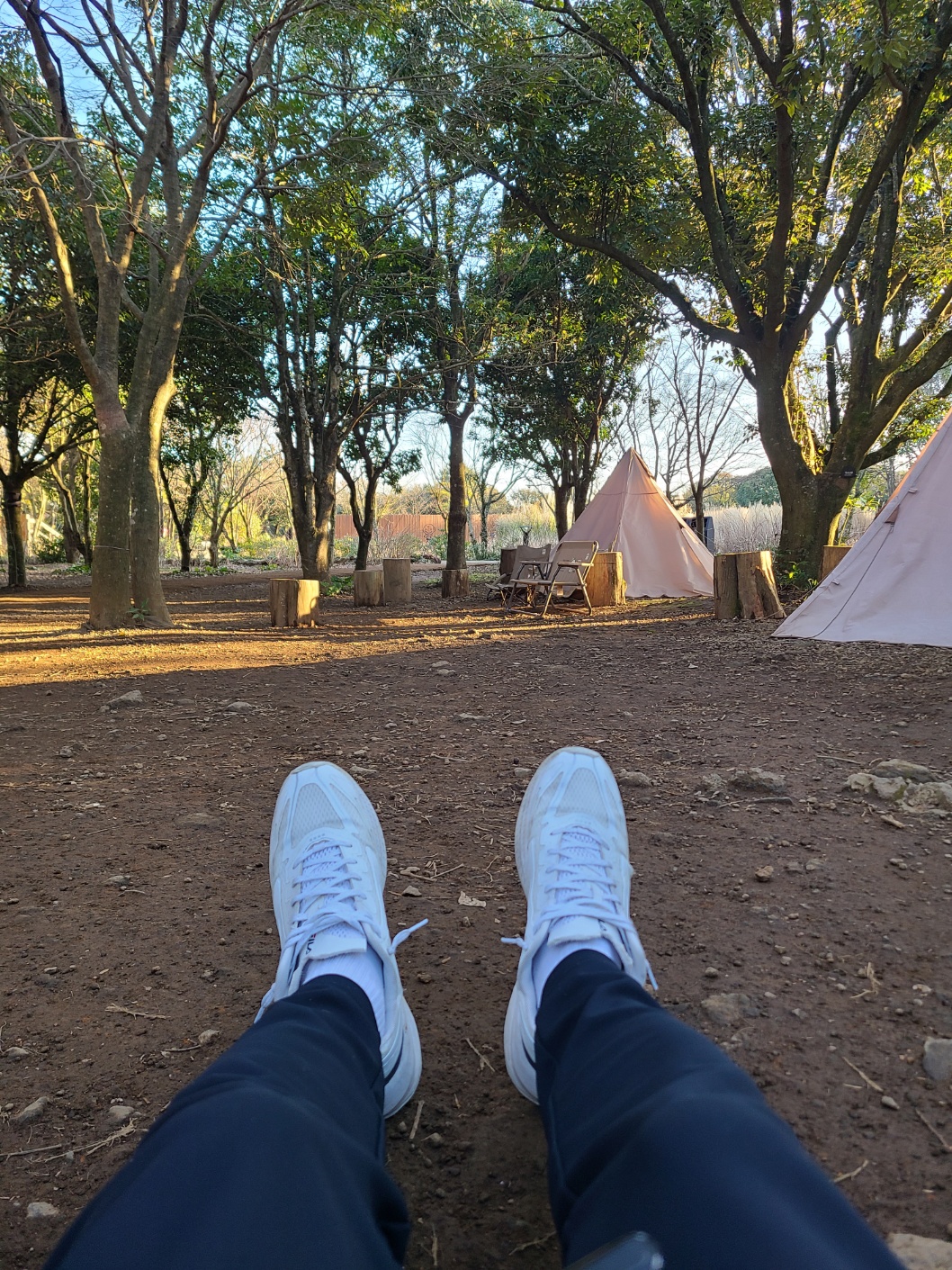 제주 스누피가든