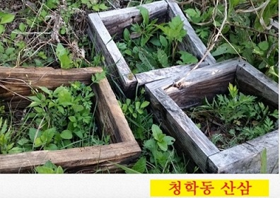 청학동-산삼마루-산삼