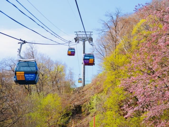 발왕산 케이블카