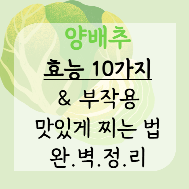 양배추-효능-안내-포스터
