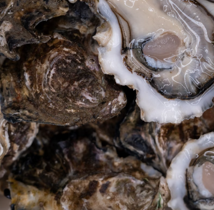 굴 효능 부작용 칼로리