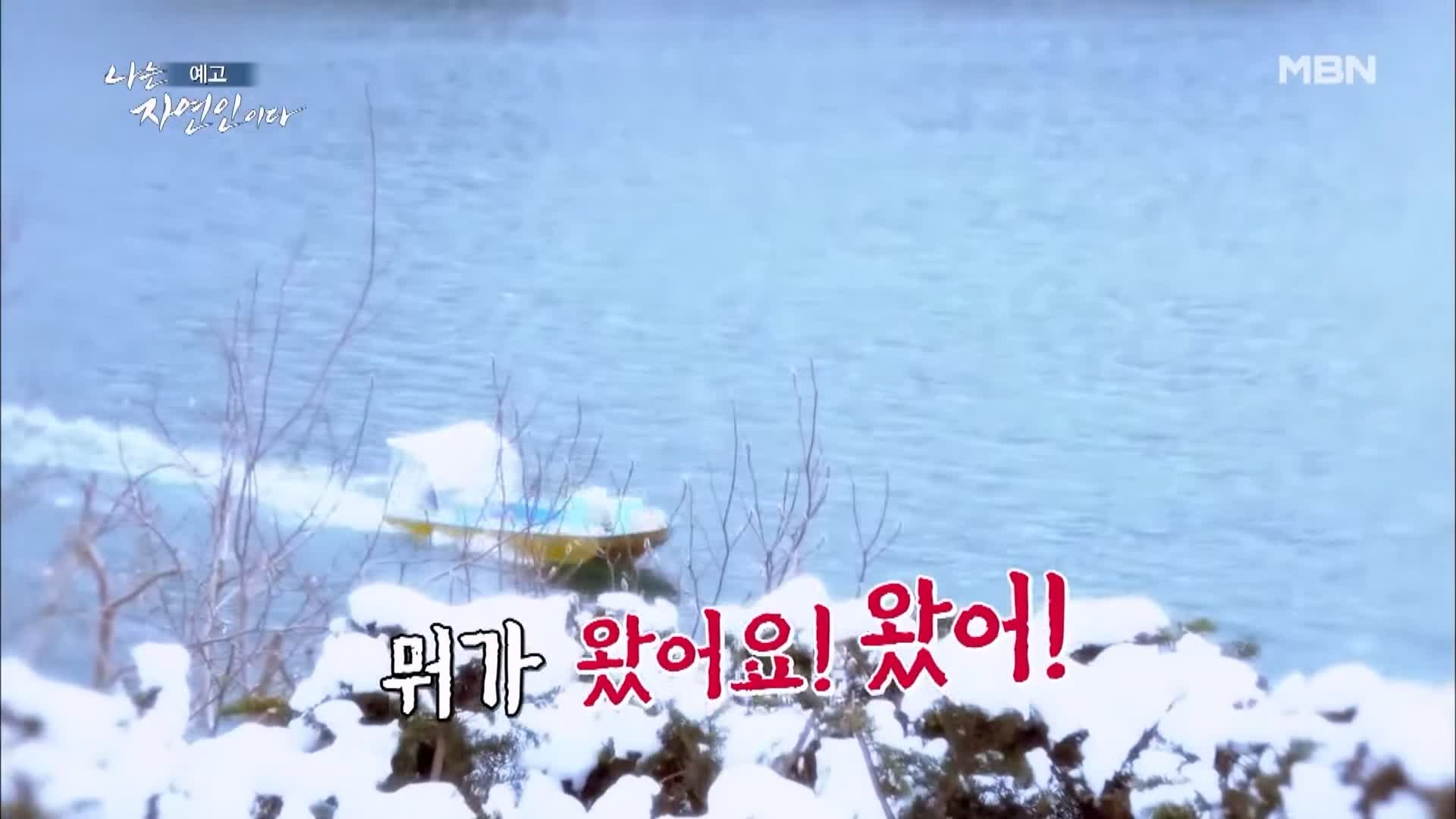 나는 자연인이다 전 재산 사기 후 얻은 반려견 자유로운 삶 내 마음은 호수 자연인 황창환 소개 및 이승윤 출연 539회 다시보기