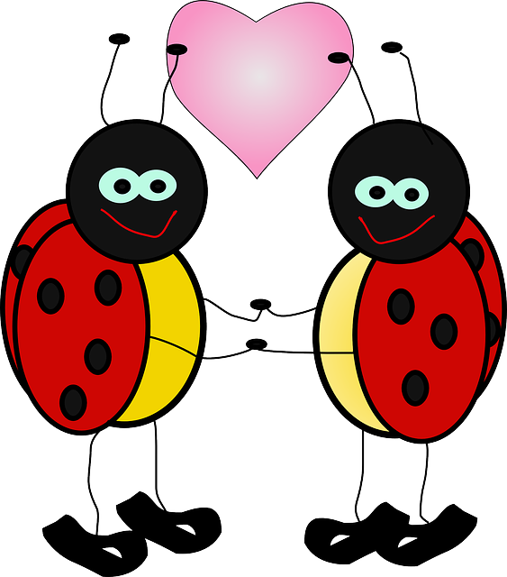 구더기 꿈해몽 애벌레 꿈해몽 송충이 꿈