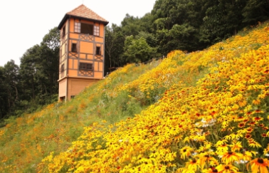 가평/한국/안에/작은/프랑/마을/쁘띠프랑스